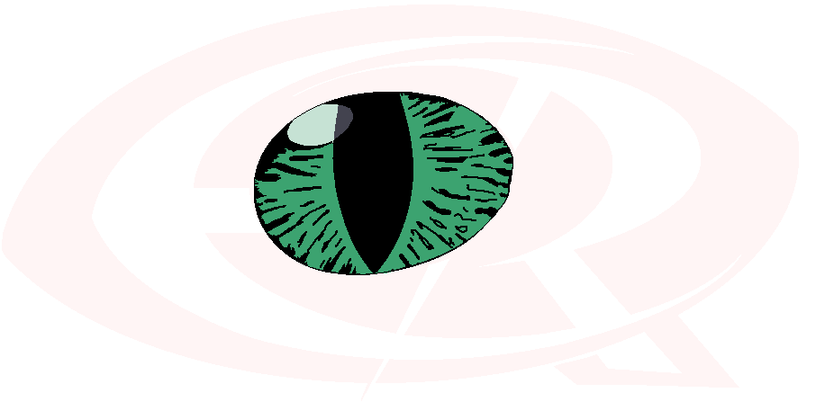Espacio Reptil